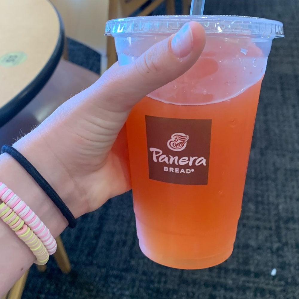 Meet your Posher, Lucy